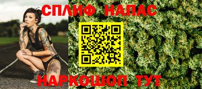стаф Ставрополь