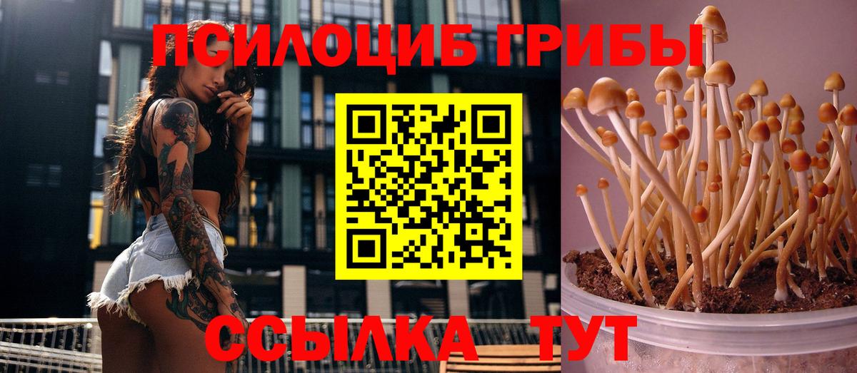 Новоуральск  Псилоцибиновые грибы GOLDEN TEACHER  Вход с VPN 